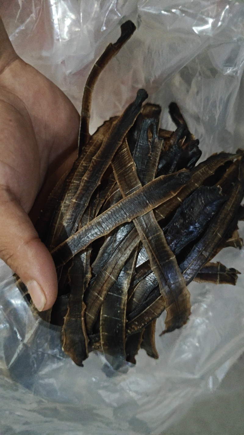 天然野生特货广地龙，全开全清水清洗，无泥无沙