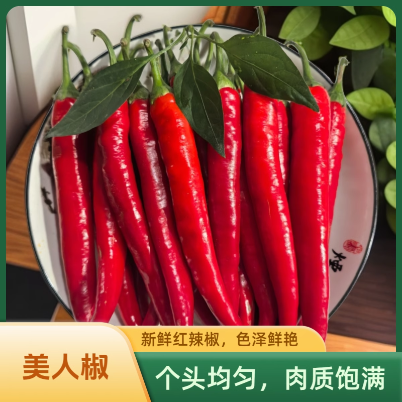精品美人椒小米红尖椒品质有保障适合电商超市各大市场代发货
