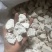 云南精品茯苓块大量有货规格齐全，价格真实，欢迎电联咨询