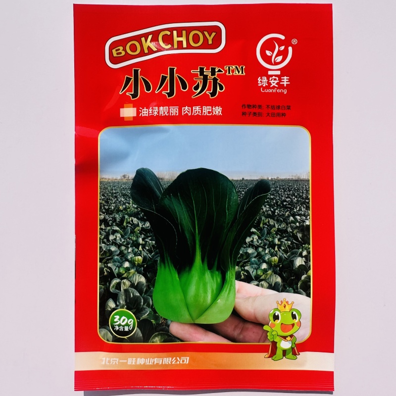 小小苏青菜种子矮脚束腰小型苏州青种子小青仔菜种子耐寒春秋