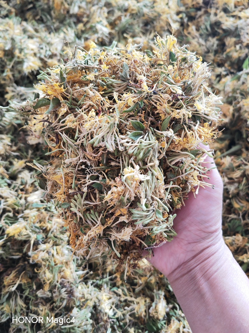 贵州安龙金银花，朵朵花，无硫，太阳晒干，刚刚晒干的新花