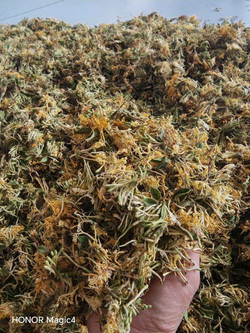 贵州安龙金银花，朵朵花，无硫，太阳晒干，刚刚晒干的新花