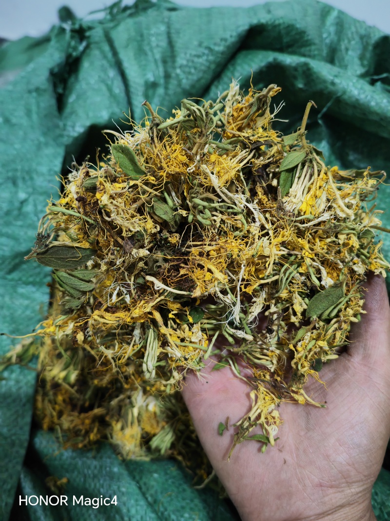贵州安龙金银花，朵朵花，无硫，太阳晒干，刚刚晒干的新花