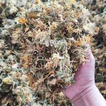 贵州安龙金银花，朵朵花，无硫，太阳晒干，选货