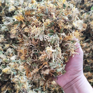 贵州安龙金银花，朵朵花，无硫，太阳晒干，刚刚晒干的新花