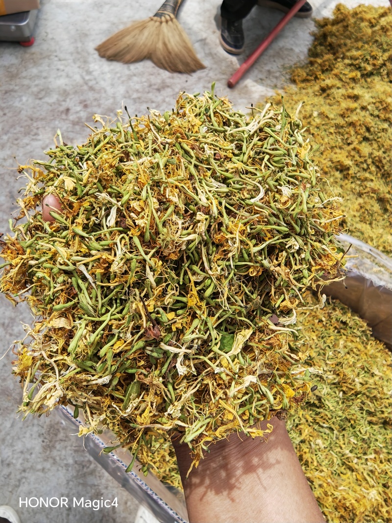 贵州安龙野生金银花，百分之七八十开花，晒花，无硫