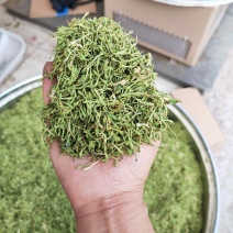贵州安龙金银花花蕾净籽无硫，长期有货供应，量大价钱可优惠