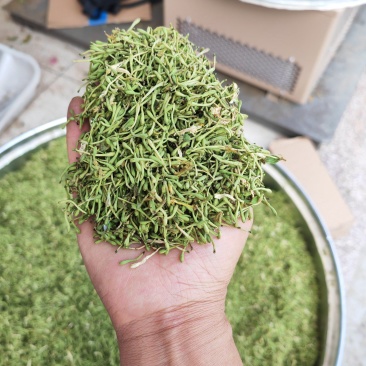 贵州安龙金银花花蕾净籽无硫，长期有货供应，量大价钱可优惠