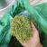 贵州安龙金银花花蕾净籽无硫，长期有货供应，量大价钱可优惠