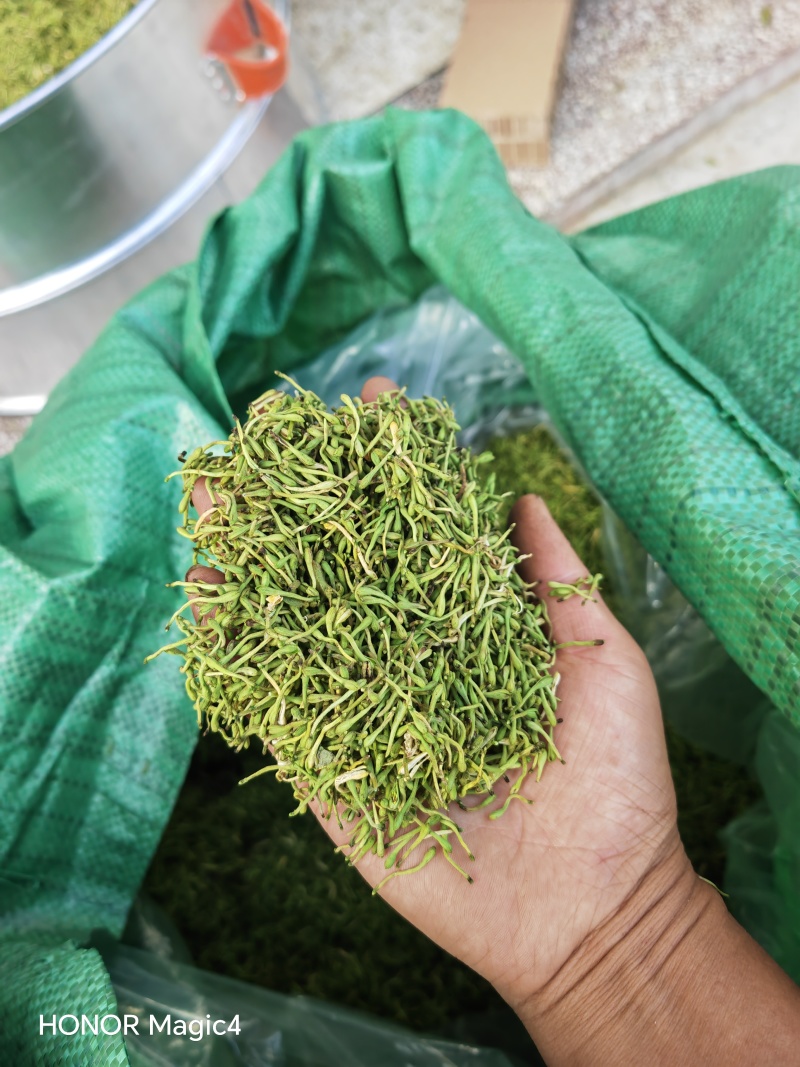 贵州安龙金银花花蕾净籽无硫，长期有货供应，量大价钱可优惠