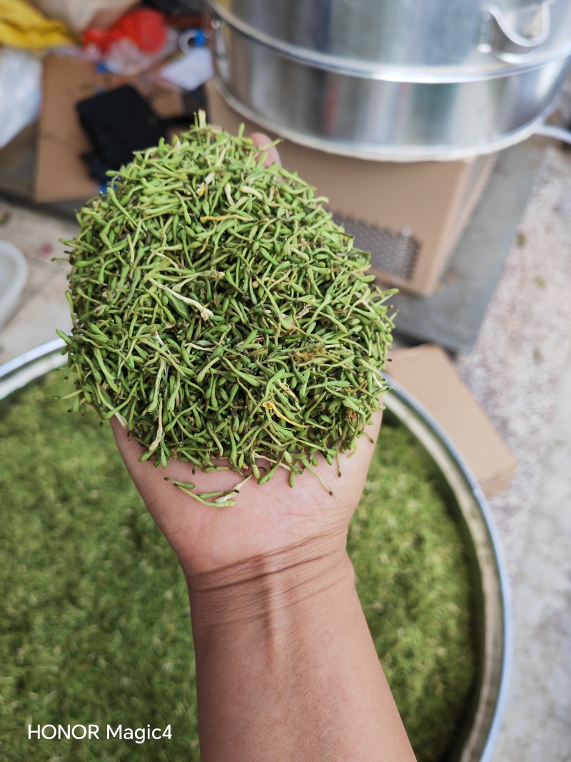贵州安龙金银花花蕾净籽无硫，长期有货供应，量大价钱可优惠