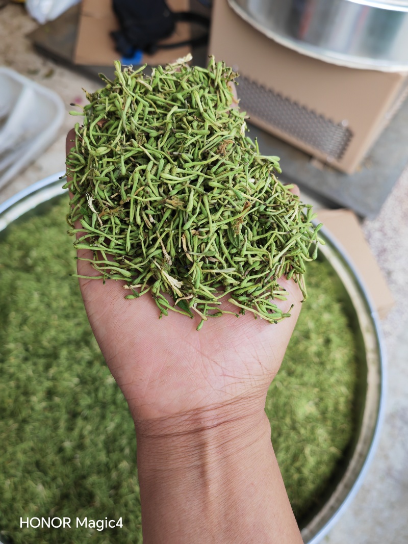 贵州安龙金银花花蕾净籽无硫，长期有货供应，量大价钱可优惠
