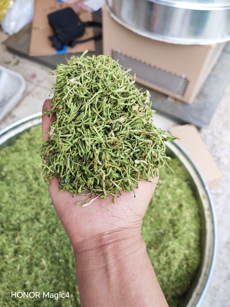 贵州安龙金银花花蕾净籽无硫，长期有货供应，量大价钱可优惠