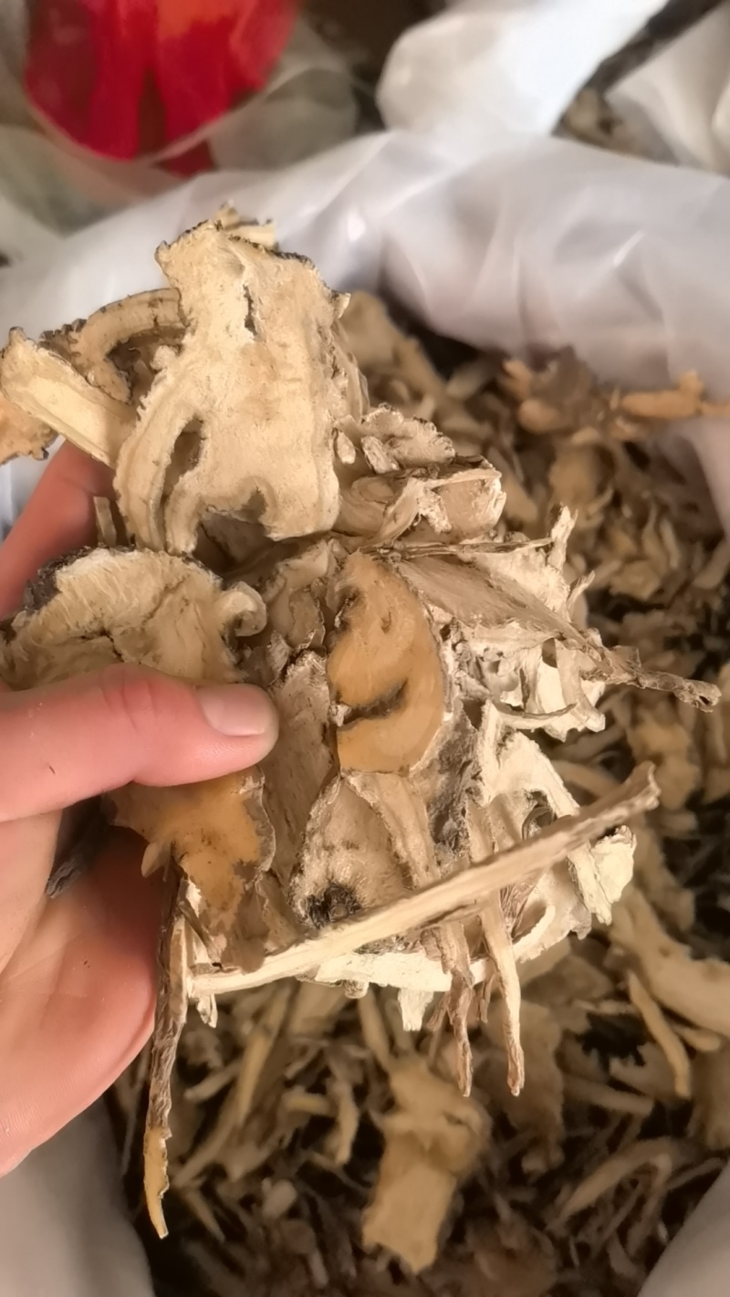 当归统货过沫筛关书药业批发中药材