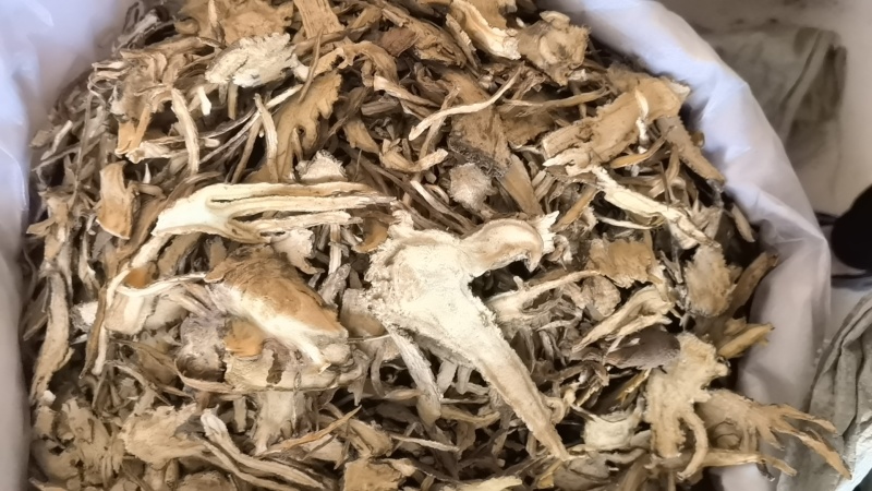 当归统货过沫筛关书药业批发中药材