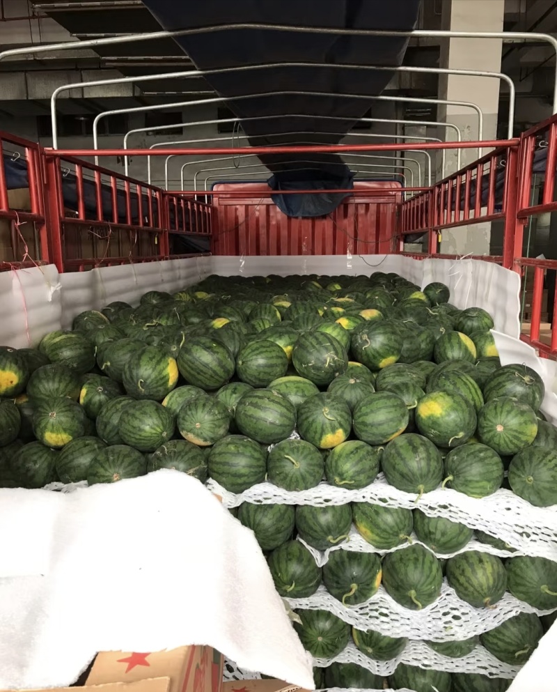 陕西无籽幕田佳宝大量上市口感好糖度高可现场验货