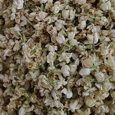 白茉莉花干