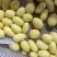 迷你小土豆河南黄心土豆油炸迷你小土豆常年供应