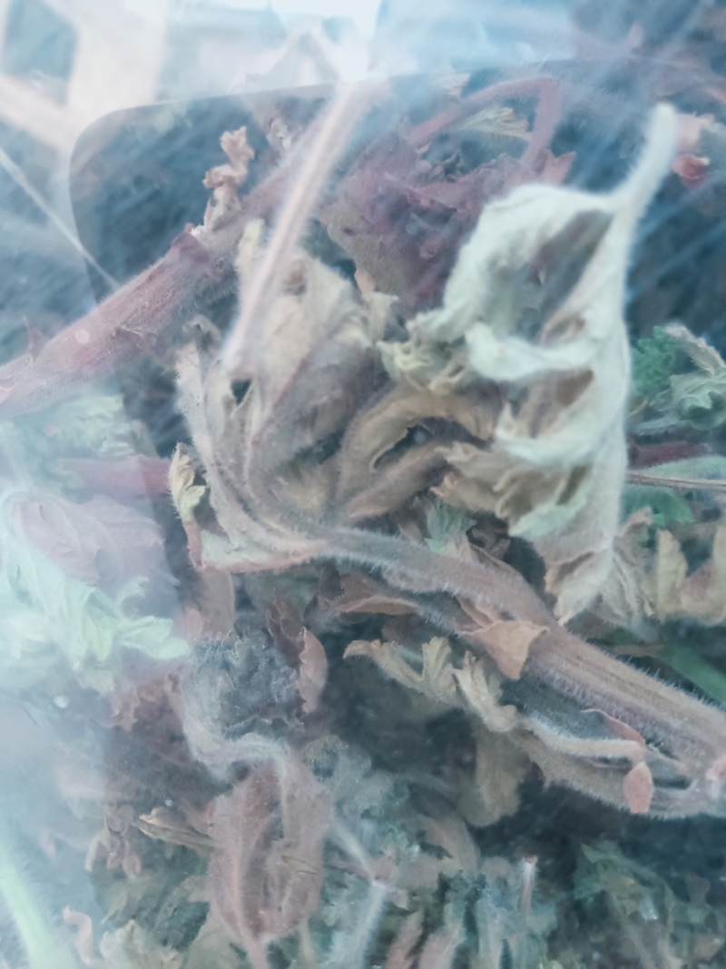 驱蚊草，