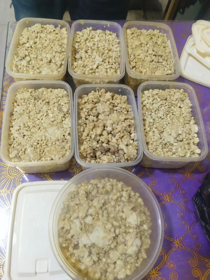 新疆阿魏