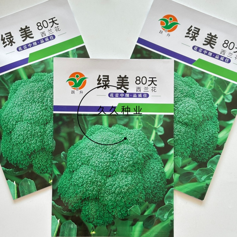 绿美80天西兰花种子青花菜花椰菜耐寒大棚盆栽四季播