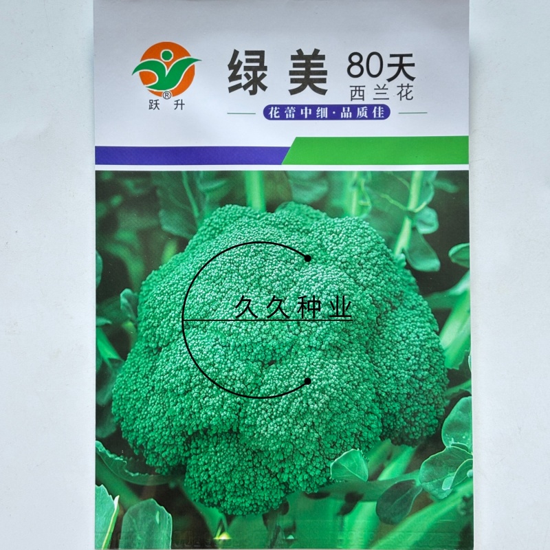 绿美80天西兰花种子青花菜花椰菜耐寒大棚盆栽四季播
