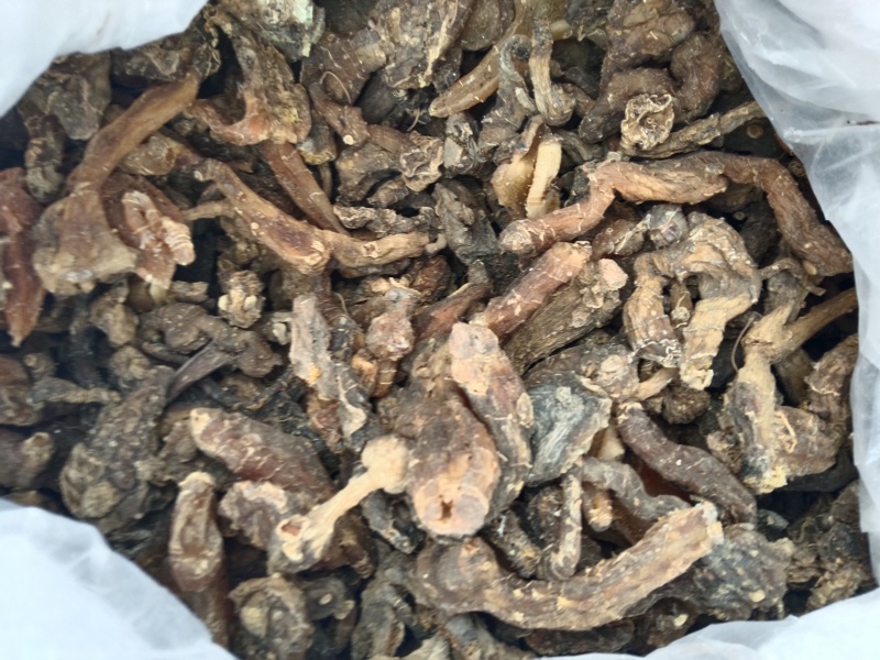 黄精