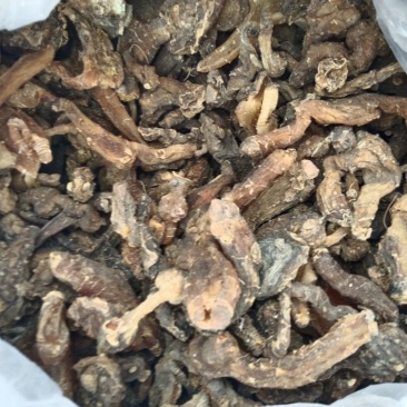 黄精