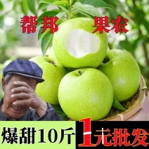 绿宝石梨青皮梨清甜酥脆爆汁大量供应电商一件代发企业集采
