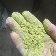 精品侧柏叶粉100目