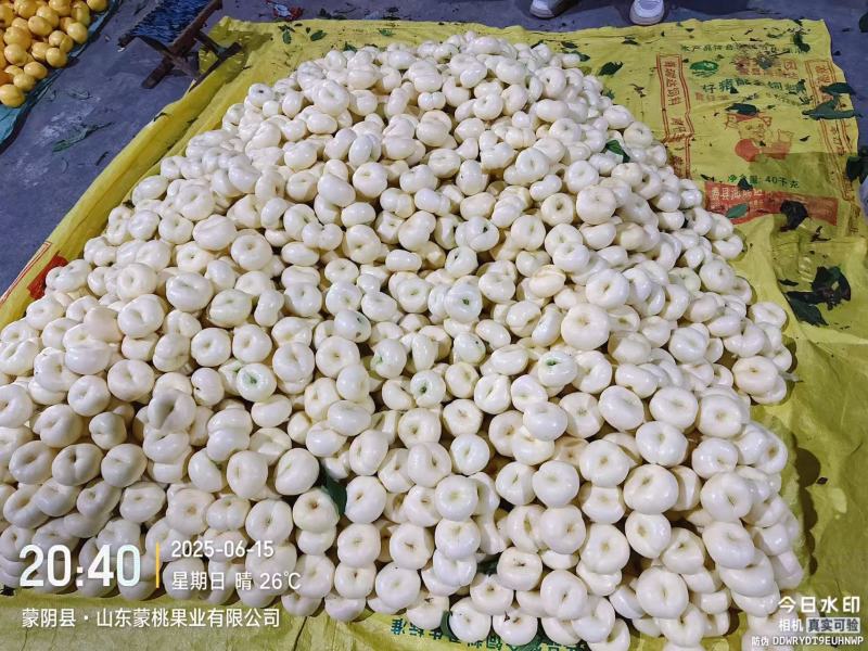 山东露天套袋黄油，毛蟠桃，黄油蟠，奶油蟠桃，大量有货