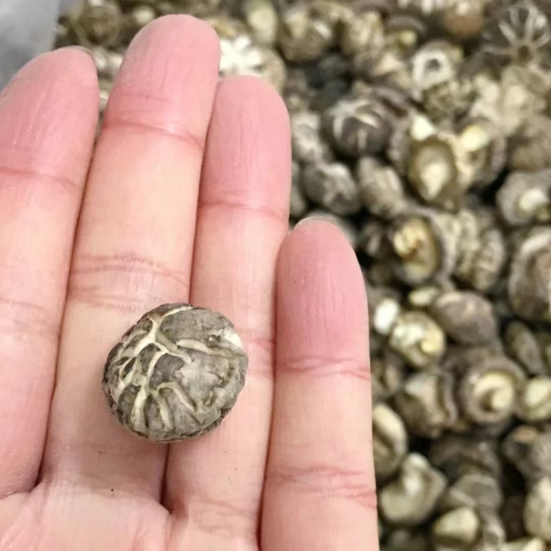 随州香菇花菇干货菇丁珍珠菇金钱菇，餐饮商用展会代卖