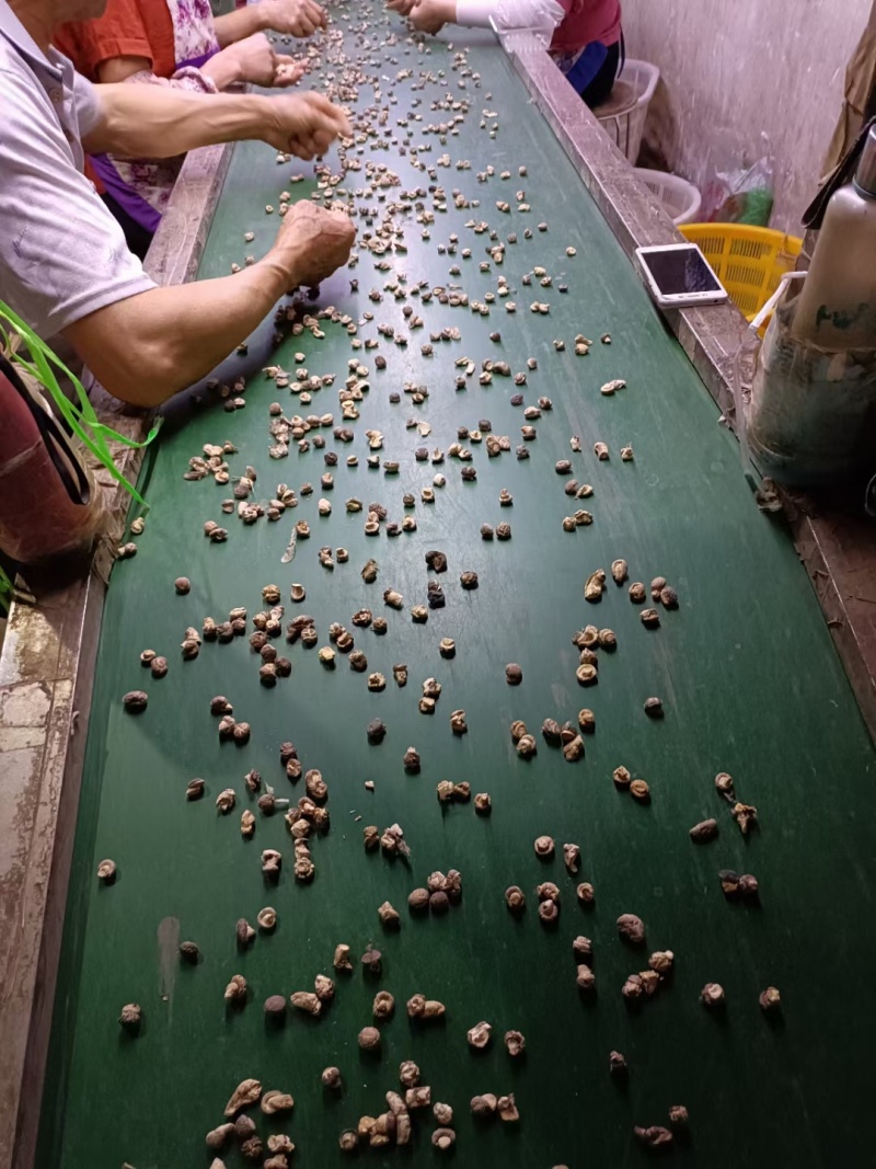 随州香菇花菇干货菇丁珍珠菇金钱菇，餐饮商用展会代卖