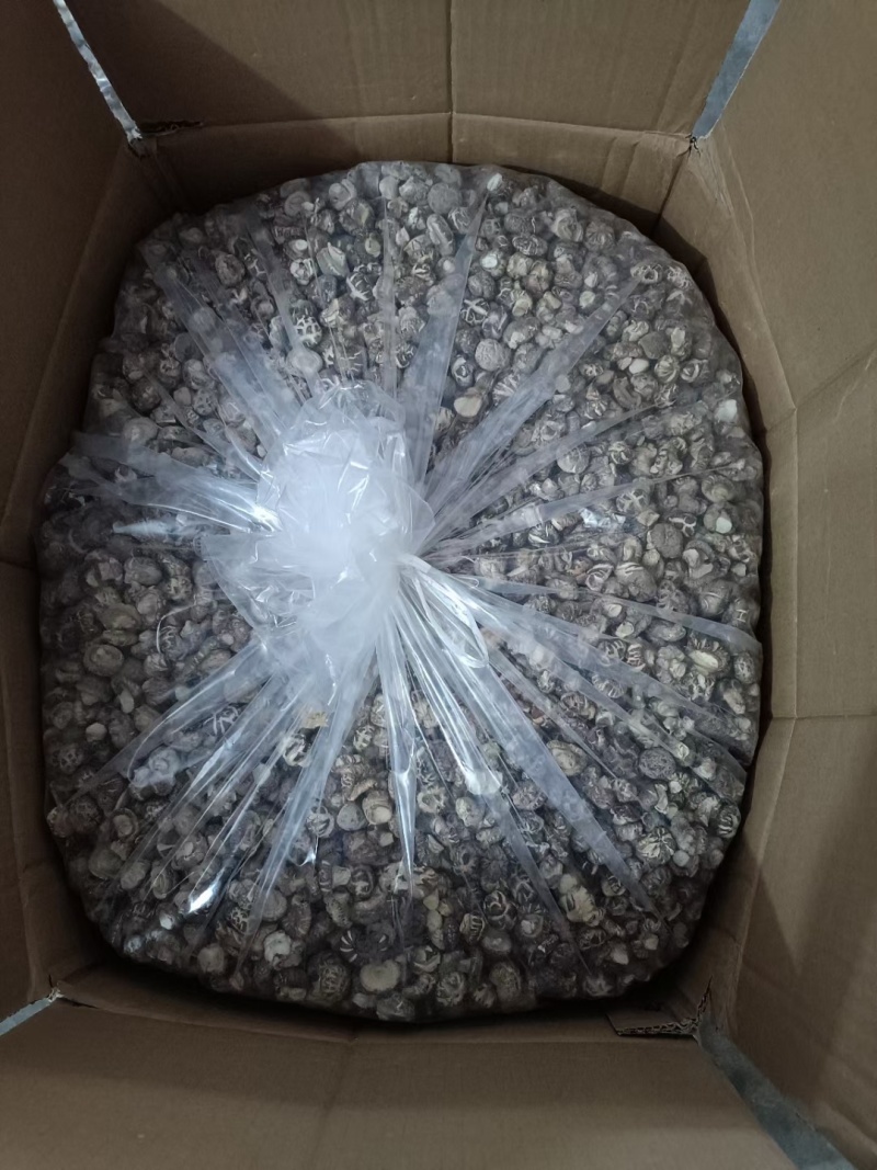 随州香菇花菇干货菇丁珍珠菇金钱菇，餐饮商用展会代卖