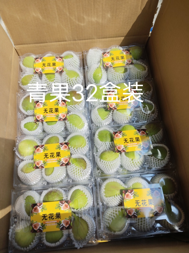 云南东川正季无花果