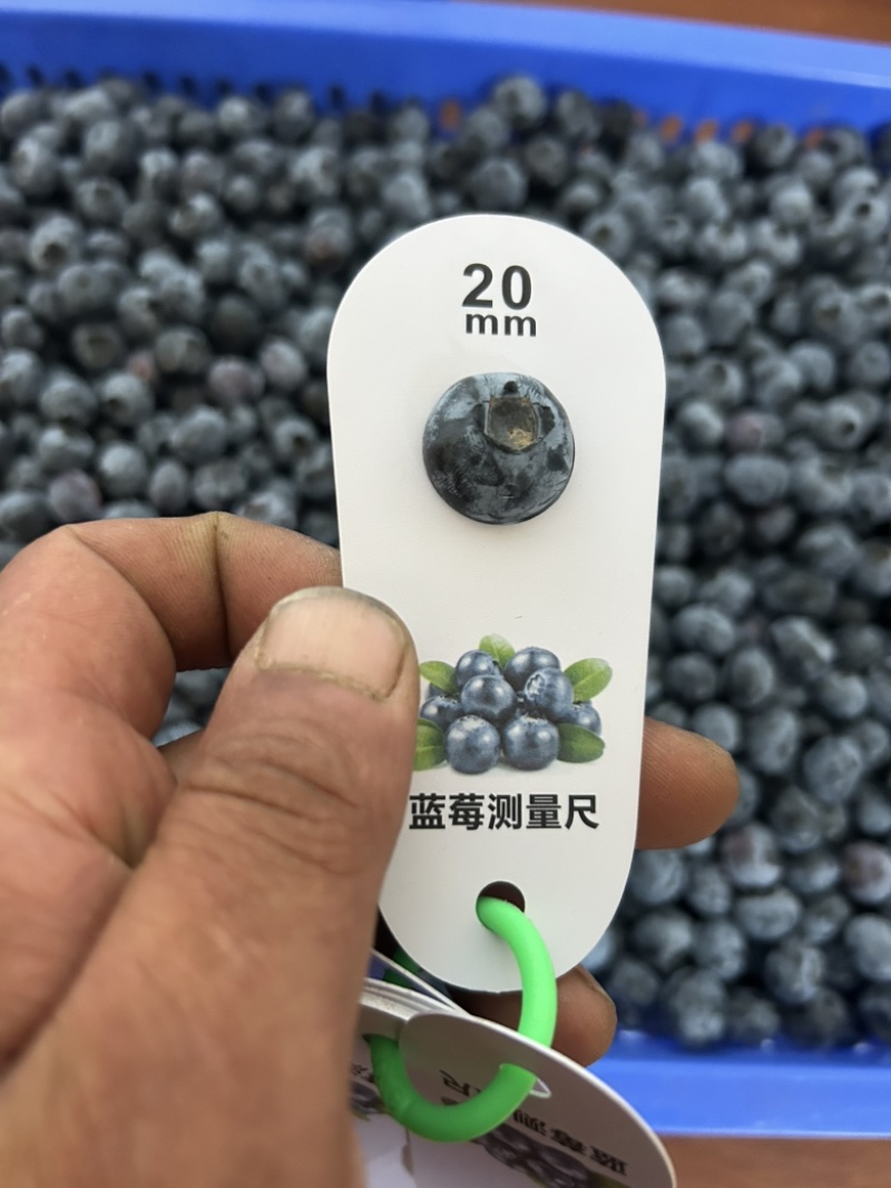 肥城市露天f6