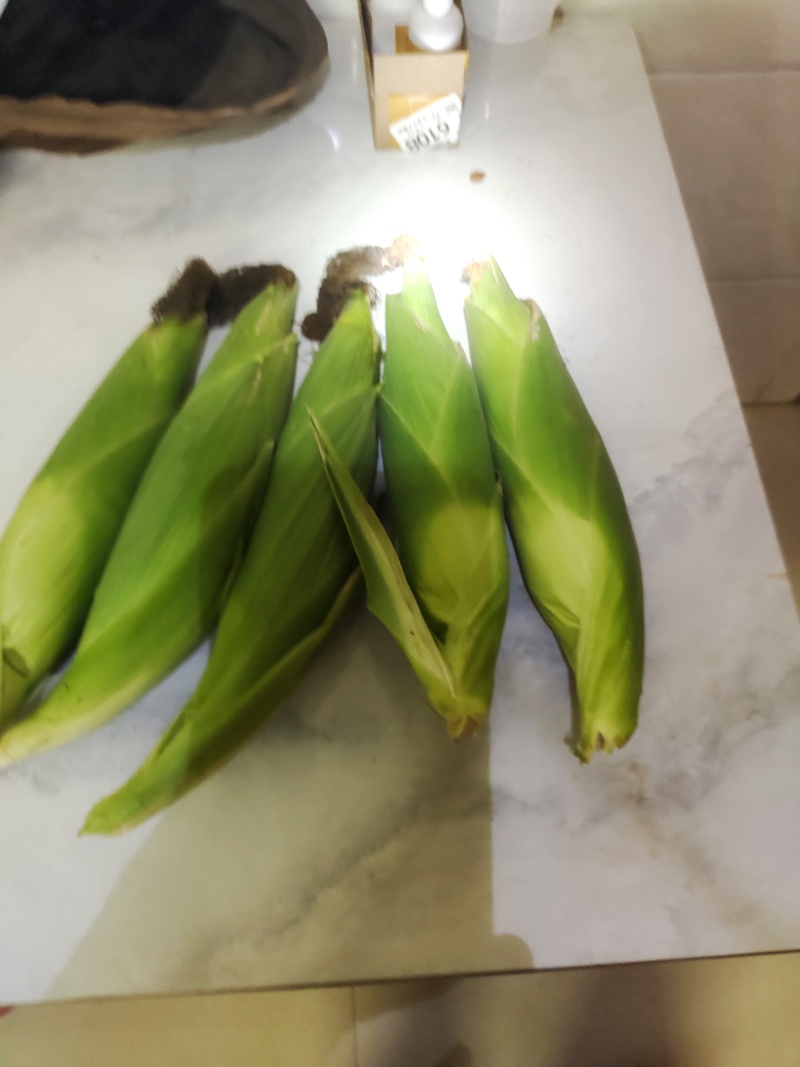 黄白超甜鲜玉米