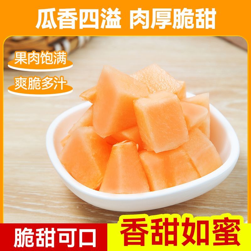 山东精品晓蜜25哈密瓜爆甜可口一手货源货源充足