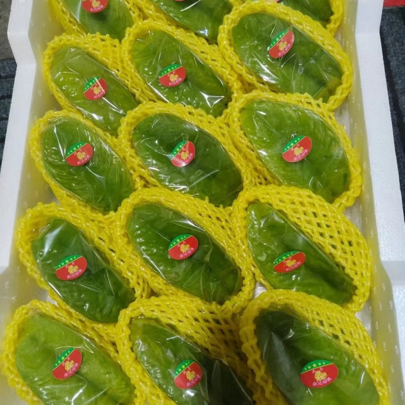 青杨桃