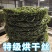 福建无沙烘干海带丝圈圈圆饼