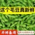 四川优质毛豆