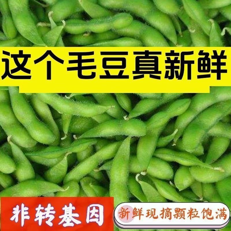 四川优质毛豆