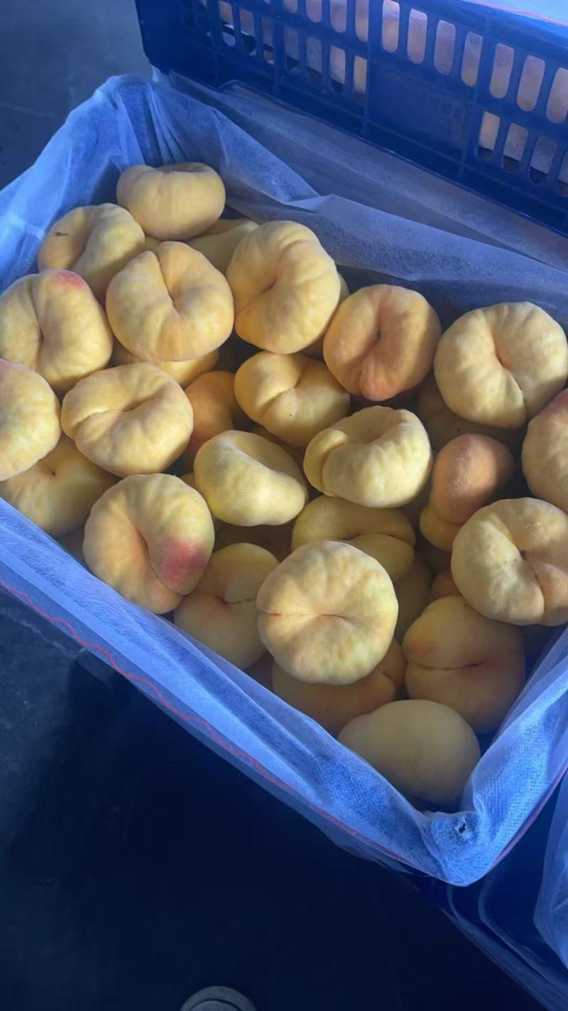 山东蒙阴毛蟠桃精品蟠桃上市对接各大商超市场电商
