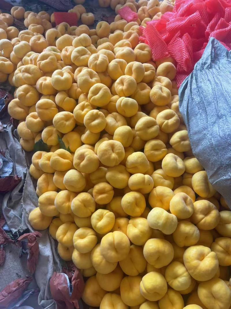 山东蒙阴毛蟠桃精品蟠桃上市对接各大商超市场电商