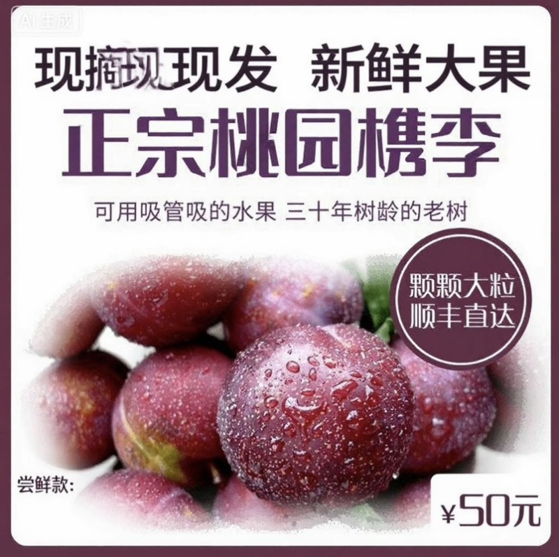 浙江嘉兴精品包装槜李