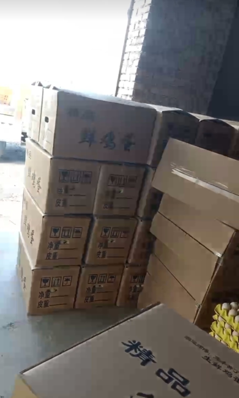 现捡现发！新鲜鸡蛋直达餐桌，每一口都是自然本味-