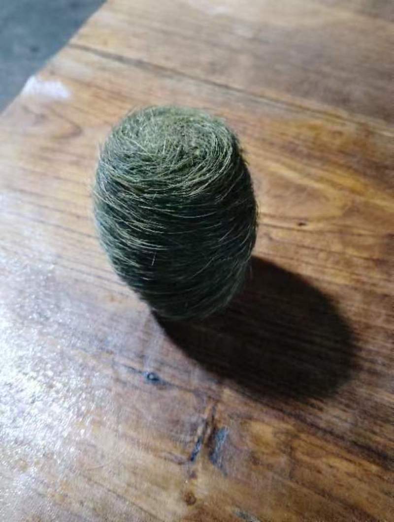 云南精品猪宝猪辰砂中药材欢迎有需求的老板来电质询