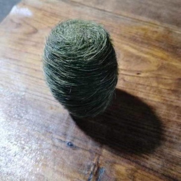 云南猪宝猪辰砂中药材，品质保证，视频看货保真