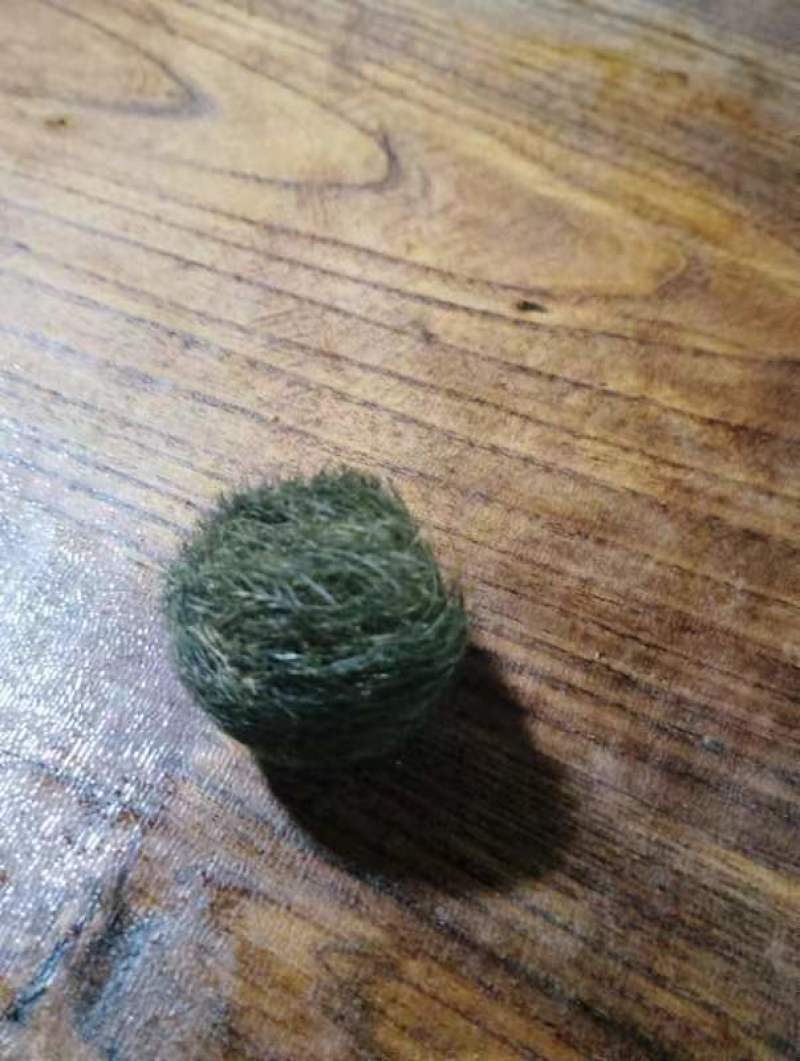 云南猪宝猪辰砂中药材，品质保证，视频看货保真