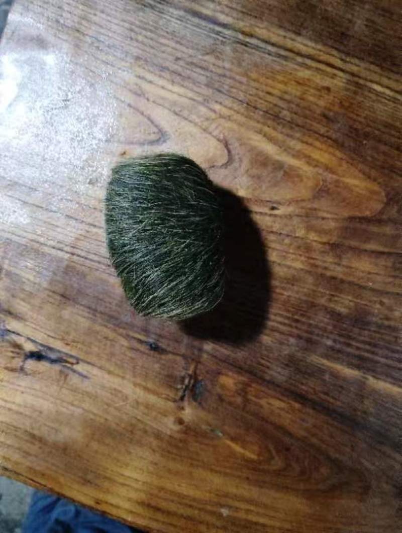 云南猪宝猪辰砂中药材，品质保证，视频看货保真
